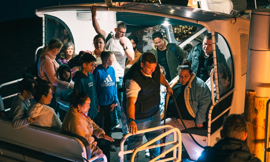 Image 9: Enjoy a 360º Vivid Private Charter for Up to 20 People