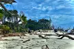Enjoy Capers Island Wildlife Explorations or Blue Crabbing Excursions with Barrier Island EcoTours Up to 33% Off - Second Medium