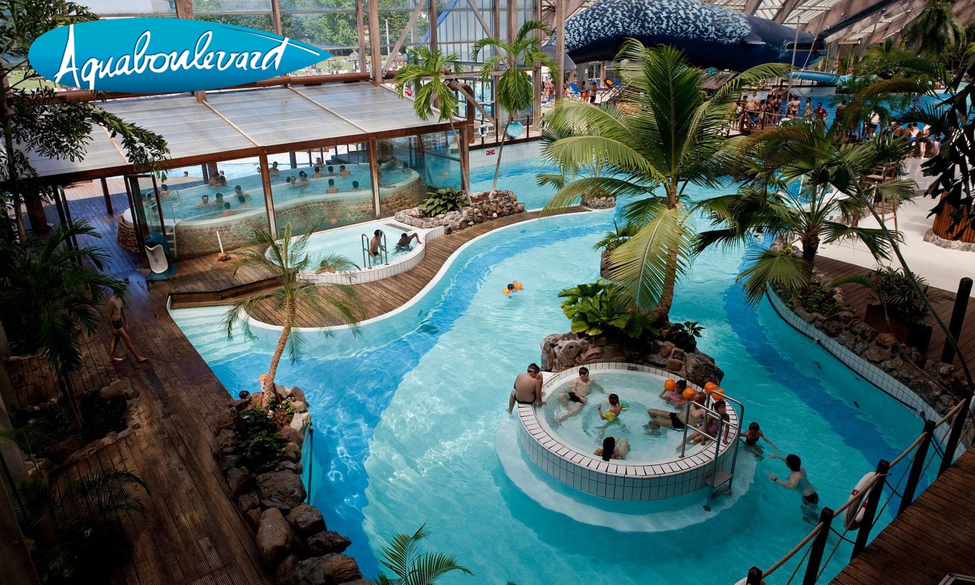 Aquaboulevard de Paris avec billet simple ou carte annuelle Baleine