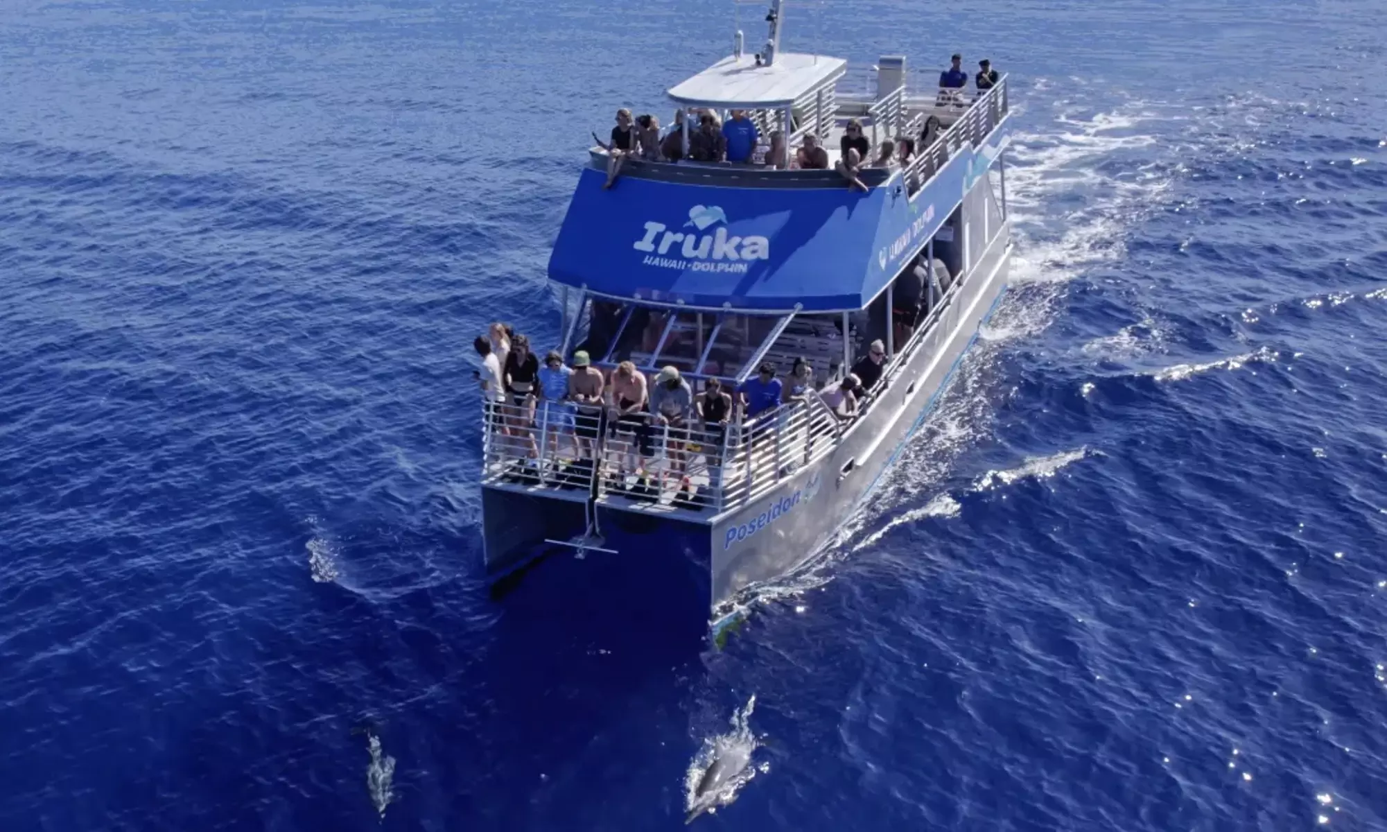 3-Hours Oahu Ocean Adventure w/ Dolphins, Turtles & Water Activities