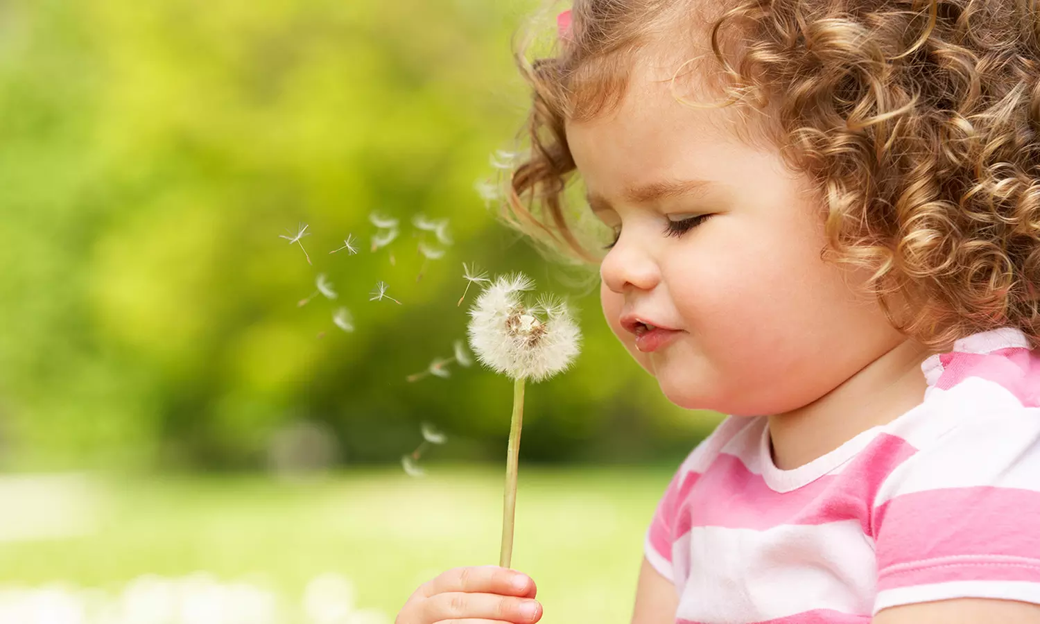 Up to 90% Off at PC Photography - Primary Image