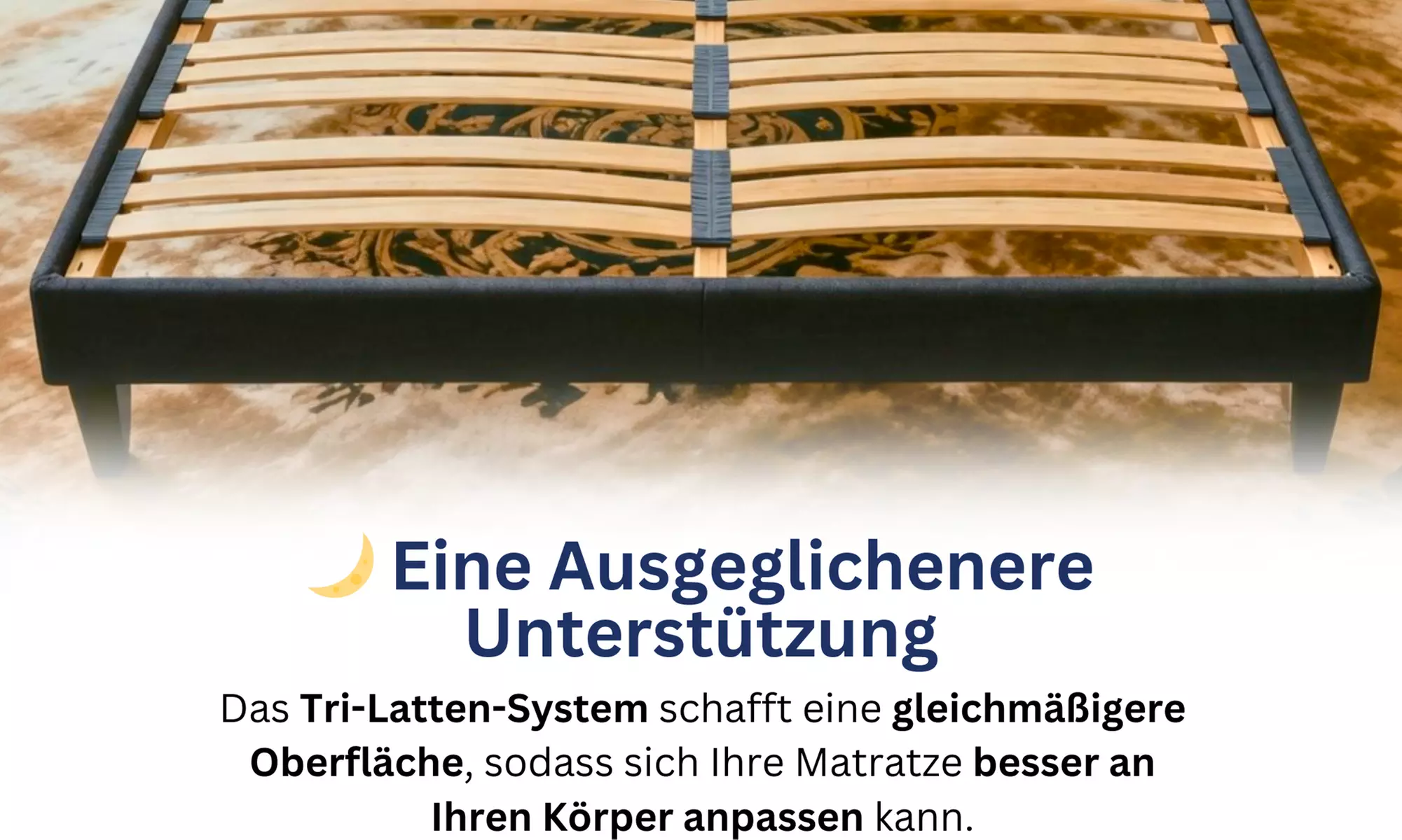 Bettgestell ANTHRA opt. mit Matratze