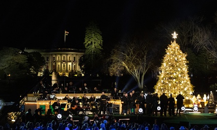 Two-Hour DC Holiday Celebrations on the National Mall Tour for One Person - RSN Tours