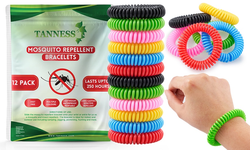 Image 1: Mosquito Repellent Spiral Bands