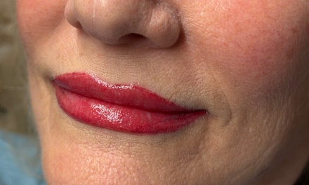 One Cover-Up Session of Permanent Makeup Work Previously Done by Another Artist - Brows By Leah James