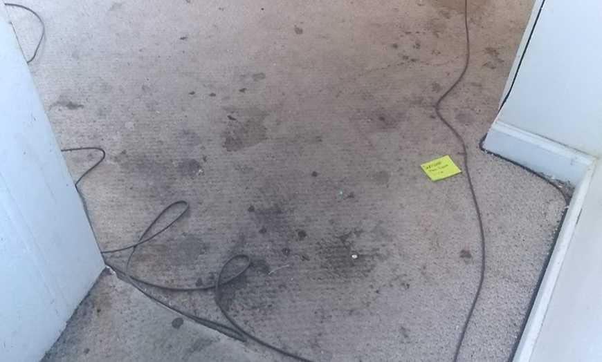 Image 4: Enhance Comfort with Carpet Cleaning for 2, 3, or 4 Rooms