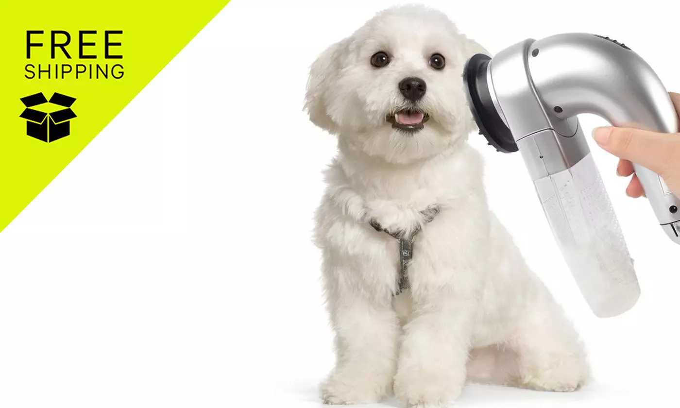 Pet Hair Vacuum Remover x1, or x2 Options from Ever Mercantile (Up to 76% Off); Free Shipping - Primary Image