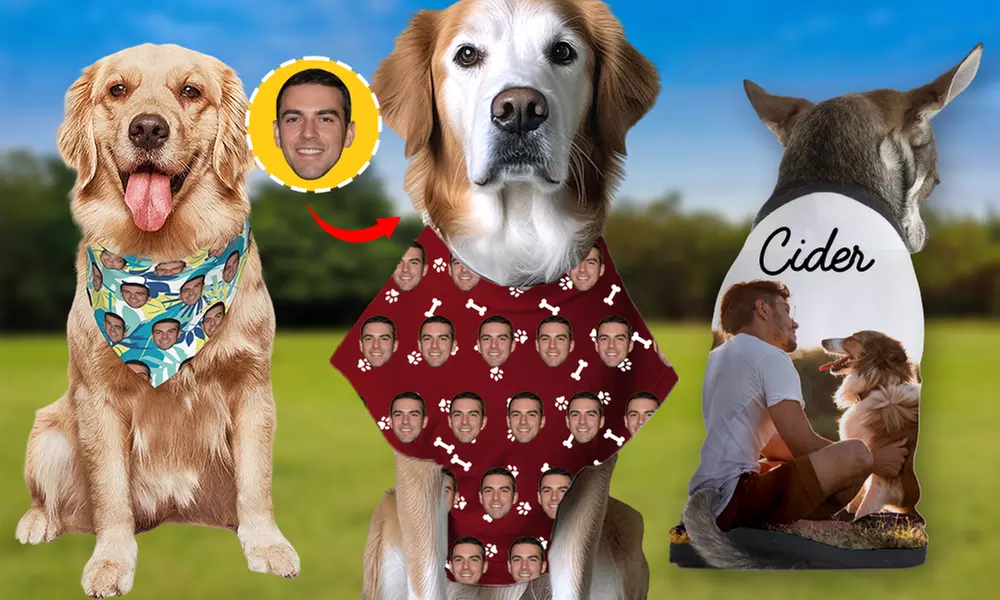Custom Pet Fashion – Pawsome Style & Comfort Tailored Just for Them