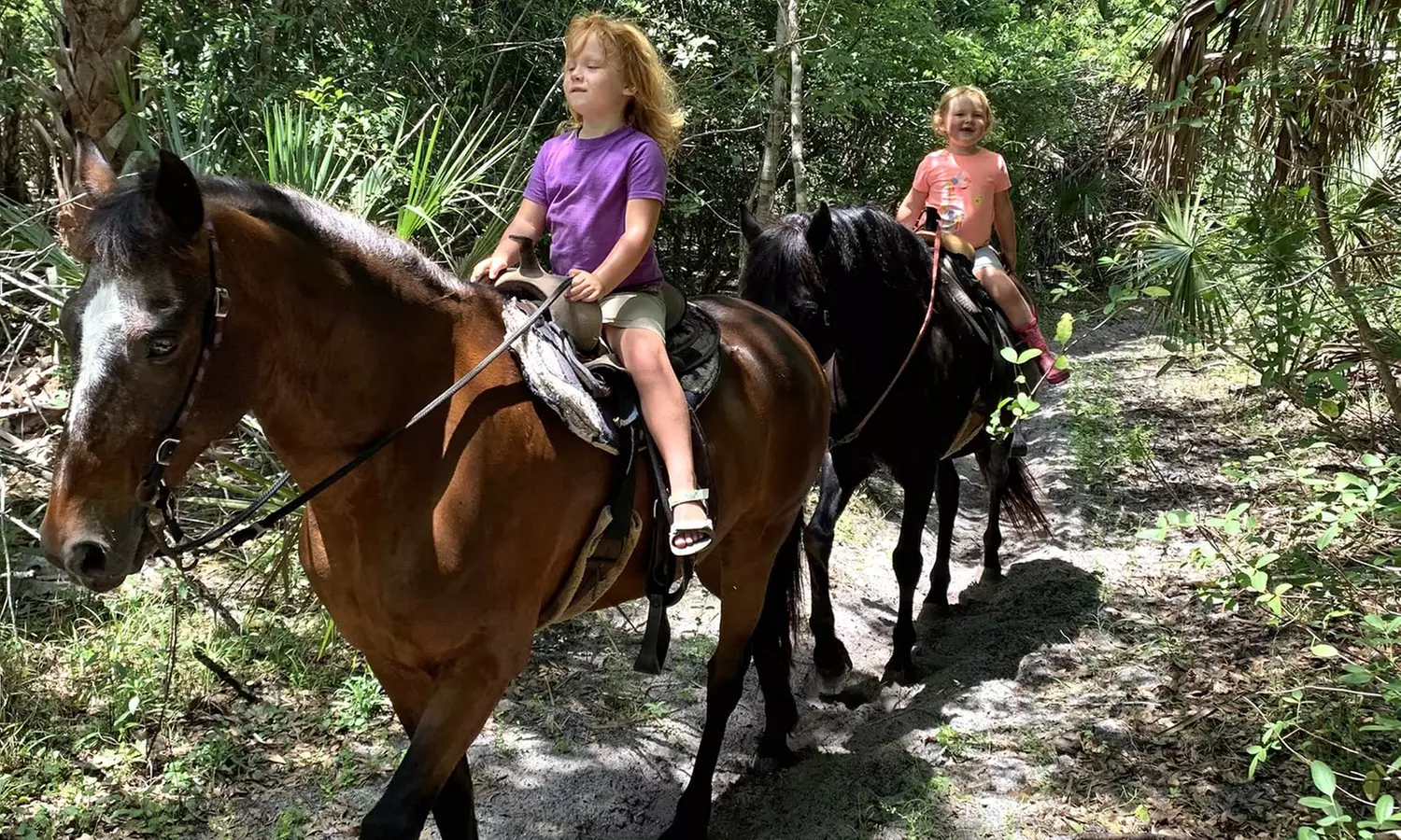 Experience Sun City Stables' exciting party options with pony rides and petting zoo, offering up to 16% off. - Second Medium