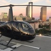 Image 1: Private Helicopter Tours with Champagne & Dinner – Atlanta