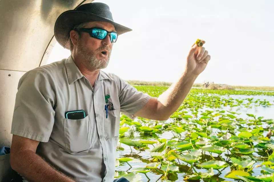 Everglades Experience: Airboat Tour & Wildlife Show ( 20% Off)