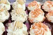 Delight In A Dozen Cupcakes, Cake Pops, Or A Sweet Cupcake Or Cookie Bouquet Up to 29% Off at Tamu Cupcakery - Second Medium