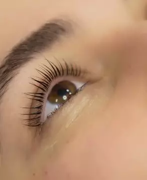 1 oder 2x Wimpern-Lifting für 1 Person, optional inkl. Färben