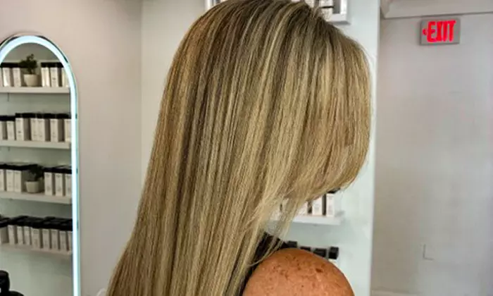 Brazilian Blowout Smoothing Treatment + Optional Haircut 