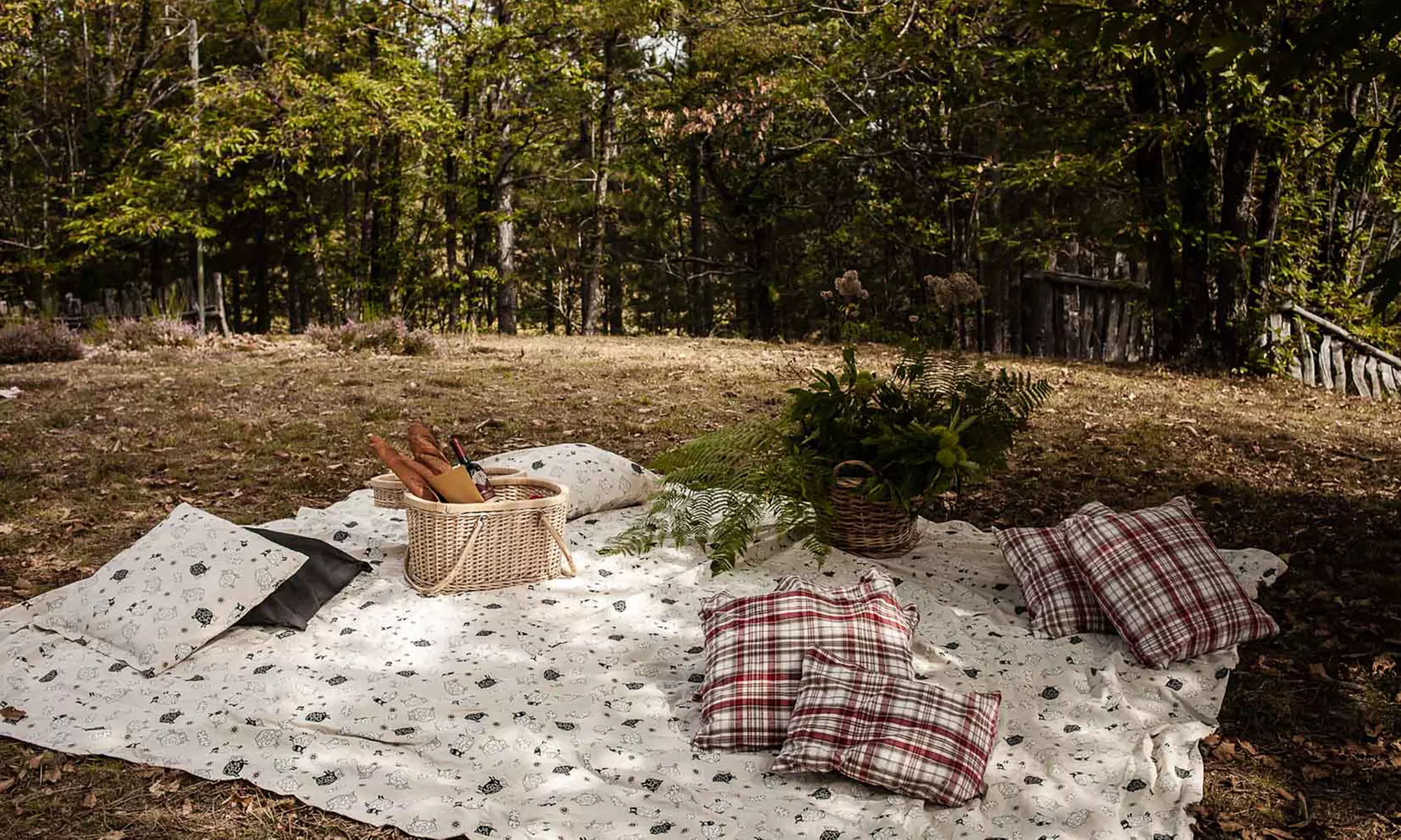 Lucca: camera o chalet Classic con colazione, cena e E-bike