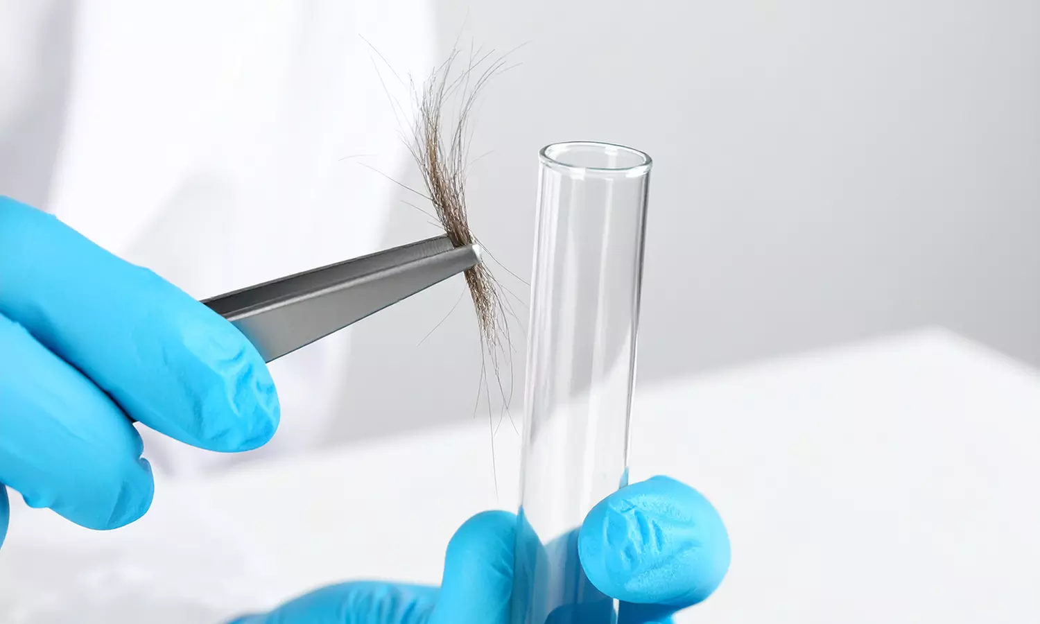 Teste deine Lebensmittelverträglichkeit von bis zu 900 Lebensmitteln