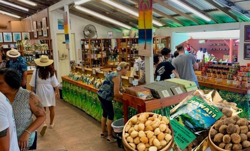 Image 5: Up to 55% Off Oahu Full-Day Island Tour - Aloha Fantasy Tours