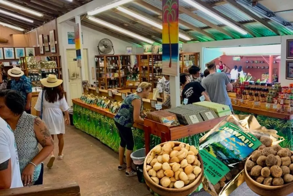 Up to 51% Off Oahu Full-Day Island Tour - Aloha Fantasy Tours