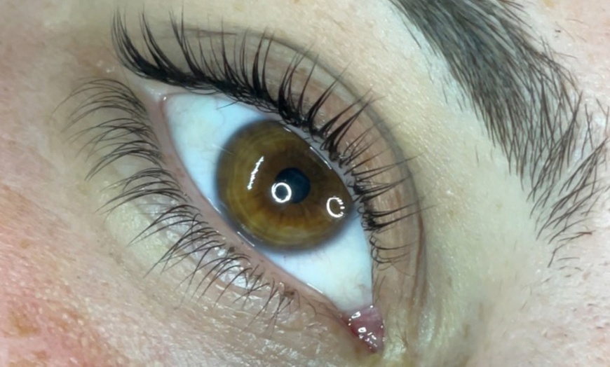 Image 3: Get an Eyelash Lift and Tint for Stunning Eyes