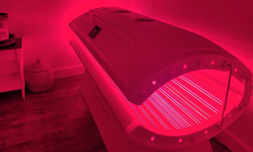 Image 1: Recharge: Red Light Bed + Irradiance Technology or Infrared Sauna Pod