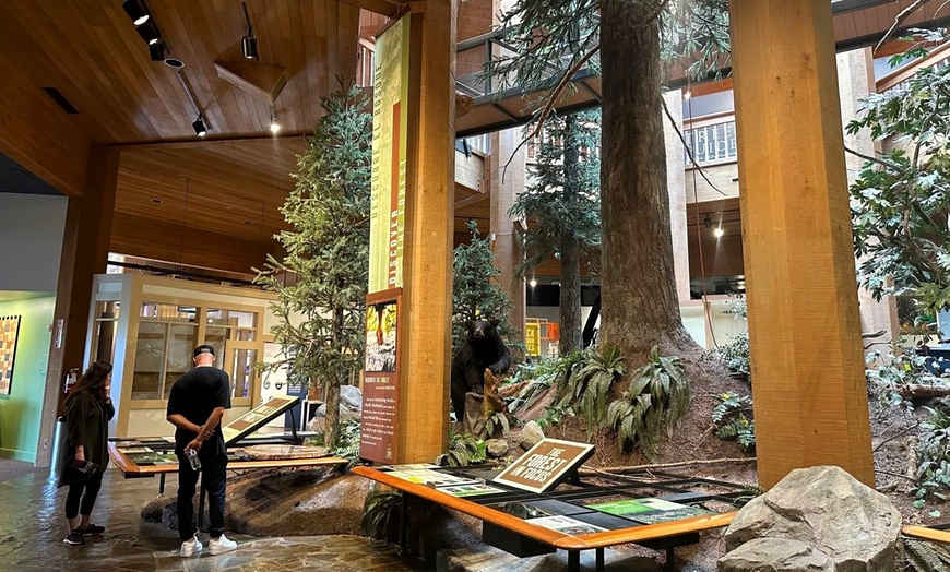 Image 6: SAVE NOW! 50% off Portland Attractions Pogo Pass