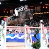 Image 4: The London International Horse Show at ExCeL - 19th-22nd December 2025