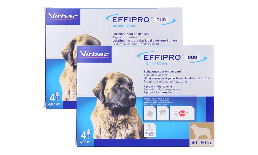 Image 6: Antiparassitario Virbac effipro duo