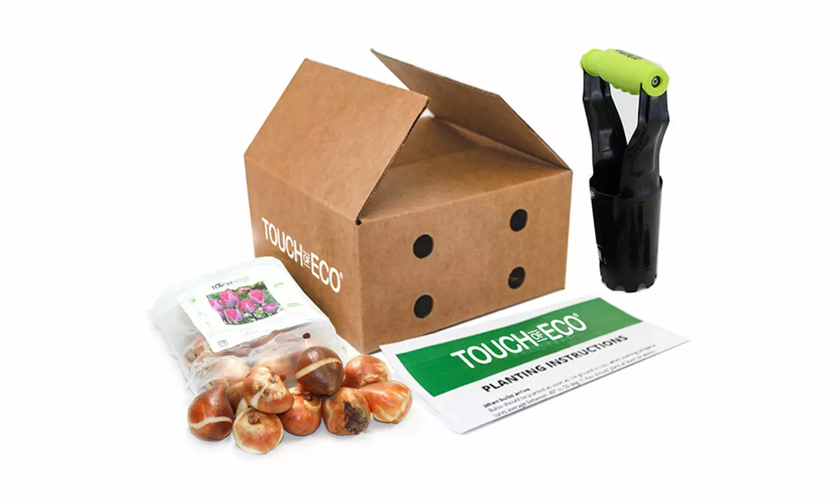 Lavender Purple Trophy Tulip Flowers (10, 20, & 40 Bulbs With Planting Tool)