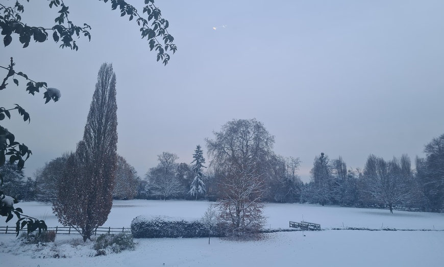 Image 10: Enjoy Festive family fun with Entry Tickets for Adults and Childrens