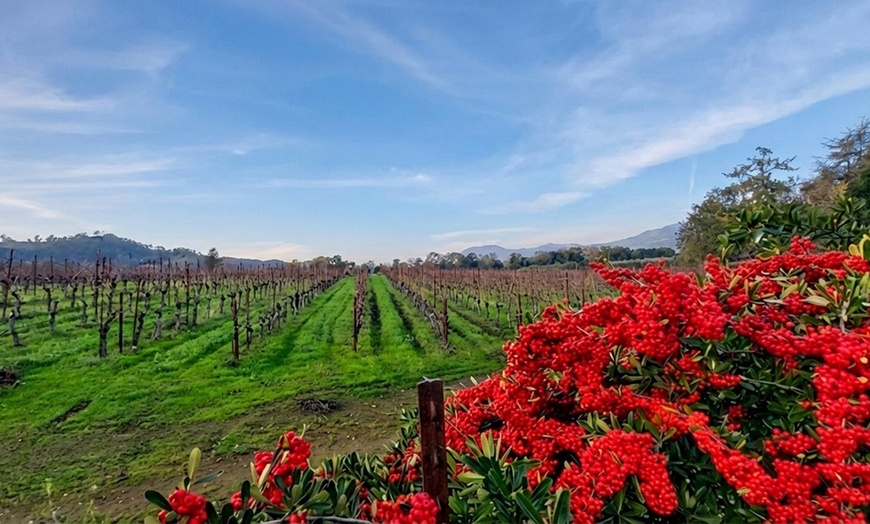 Image 7: Private Wine Tour: 2 Curated Wineries & Luxury Sprinter from SF