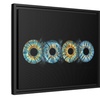 Image 14: Transform Your Eyes into Personalized Iris Art at Home