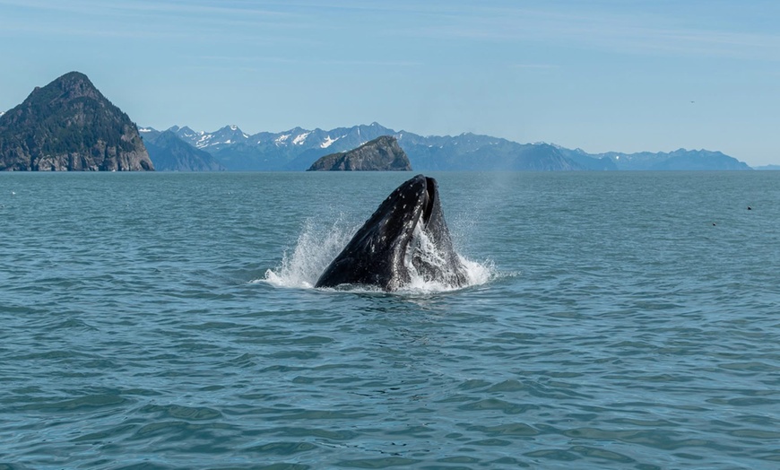 Image 2: Unforgettable 7-Hour Boat/Kayak Tour for Two, Three, or Four People