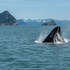 Image 2: Unforgettable 7-Hour Boat/Kayak Tour for Two, Three, or Four People