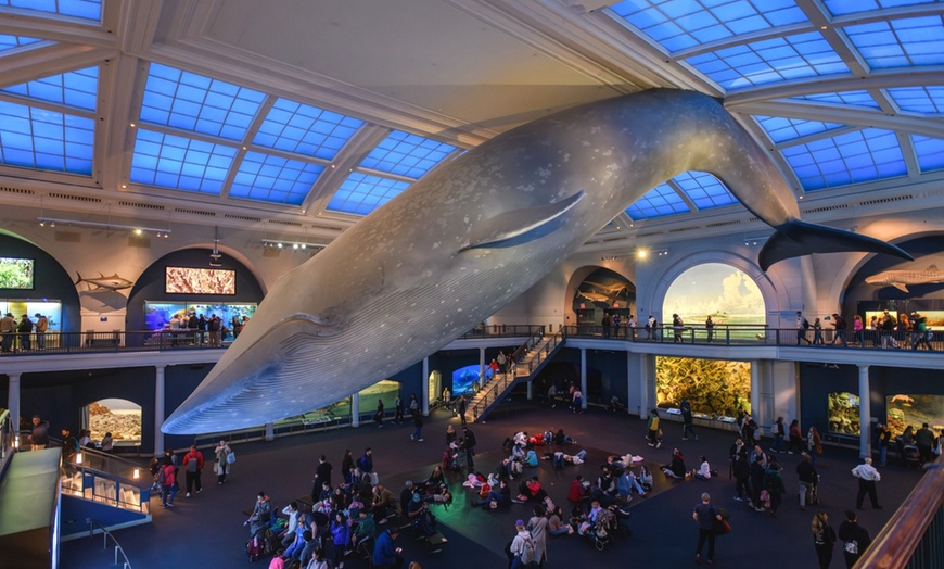 Image 3: American Museum of Natural History - Admission & Special Exhibitions
