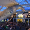 Image 3: American Museum of Natural History - Admission & Special Exhibitions