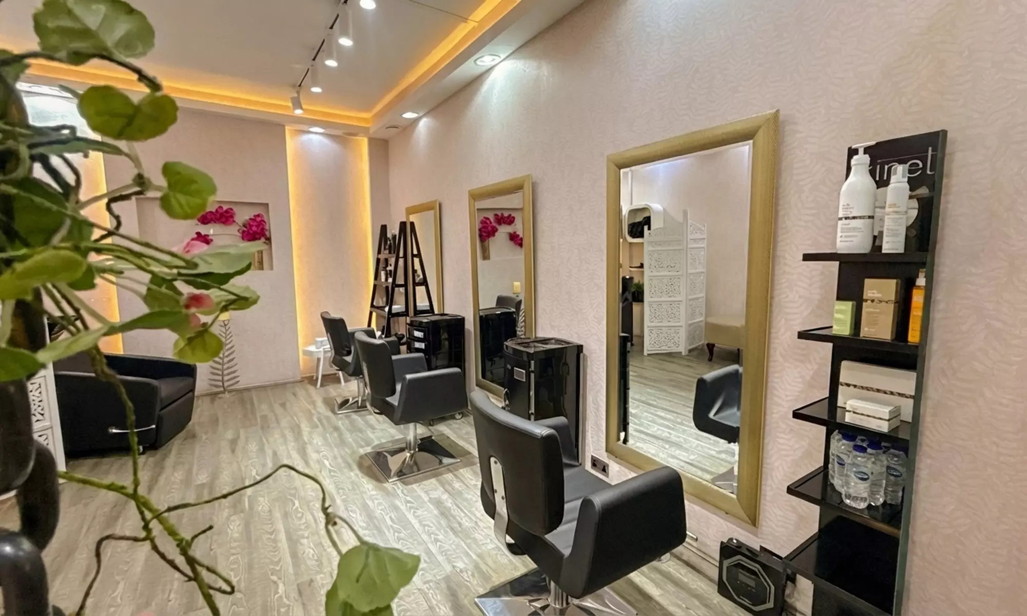 Get a Full Set of Natural 2D/3D or Russian Mega Volume Lash Extensions