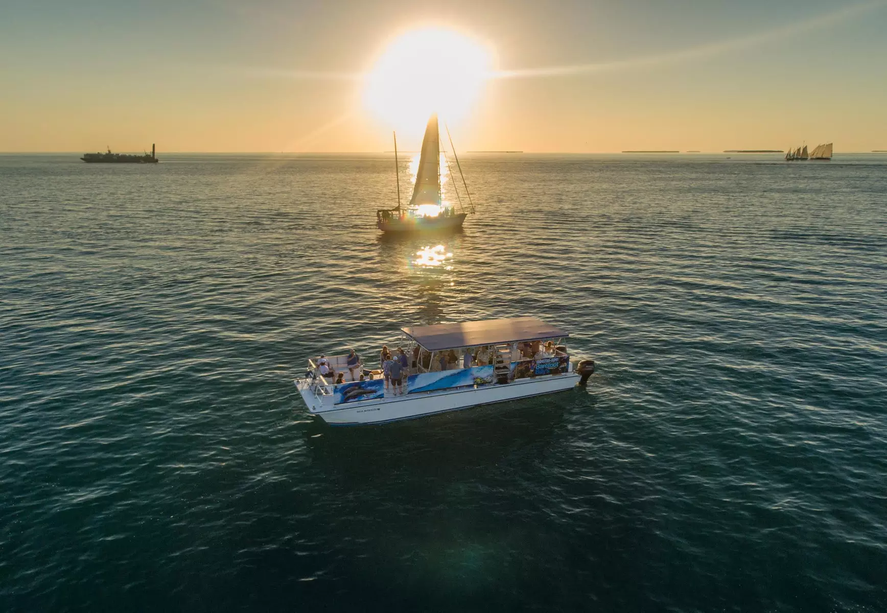 Explore Key West: Unforgettable Dolphin Watch & Snorkel Tours