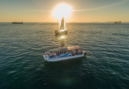 Dolphin Watch & Snorkel Tour for One Person 2 hours - Barefoot Charters - Garrison Bight Marina, Key West, FL