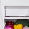 Image 6: HomCom Compact-Sized Fridge Selection