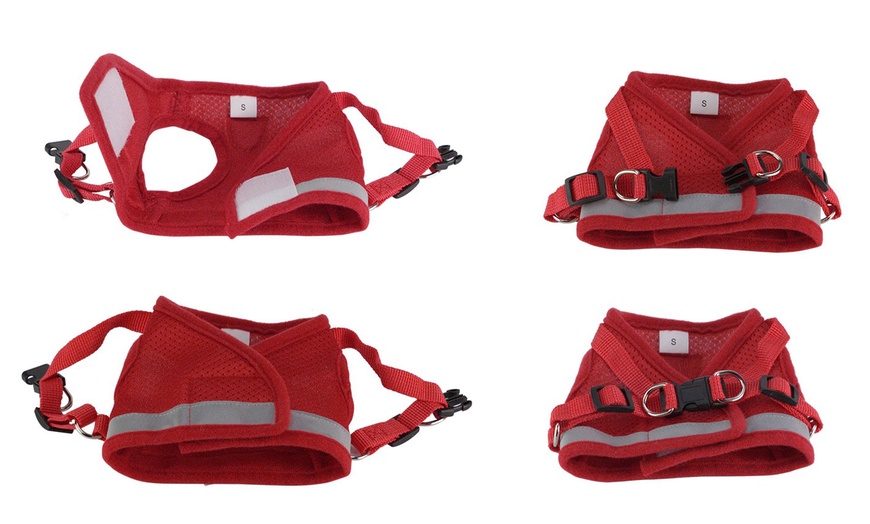 Image 6: No-Pull Hand Strap Dog Cat Vest With Dog Leash Pet Collar Adjustable Harness