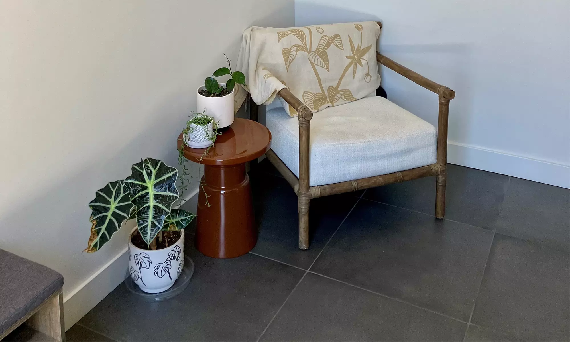 Get 1,2, or 3 Full-Body Customized Sessions 60 /90 or 120 Min