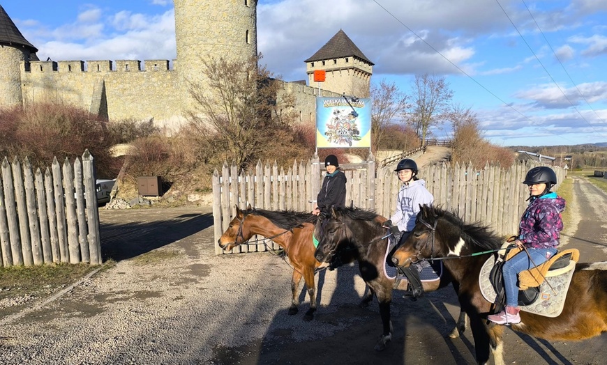 Image 7: Nauka jazdy konnej: jazda indywidualna lub na maneżu