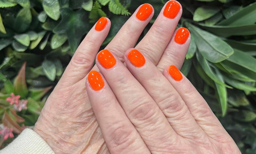 Image 2: Up to 31% Off on Nail Spa/Salon - Mani-Pedi at 1717 Hair salon