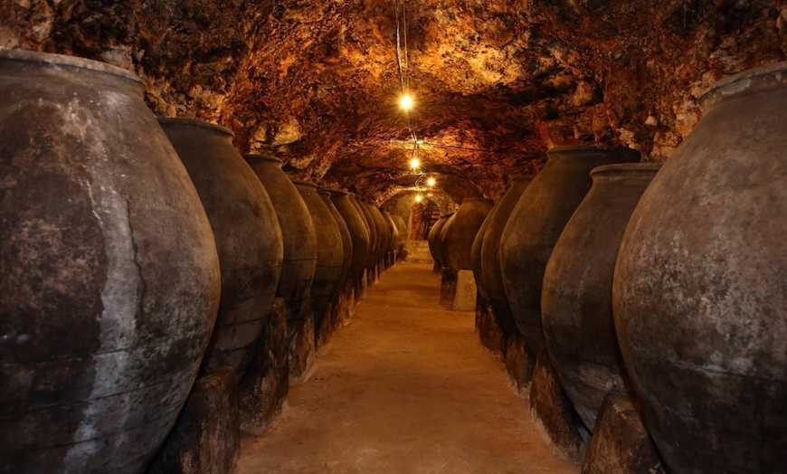 Image 10: Descubre el sabor del placer: cena, maridaje y espectáculo en bodega