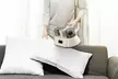 NewHome Cordless Bed Vacuum with UV-C Sanitization and Double-Cup Filtration - Second Medium