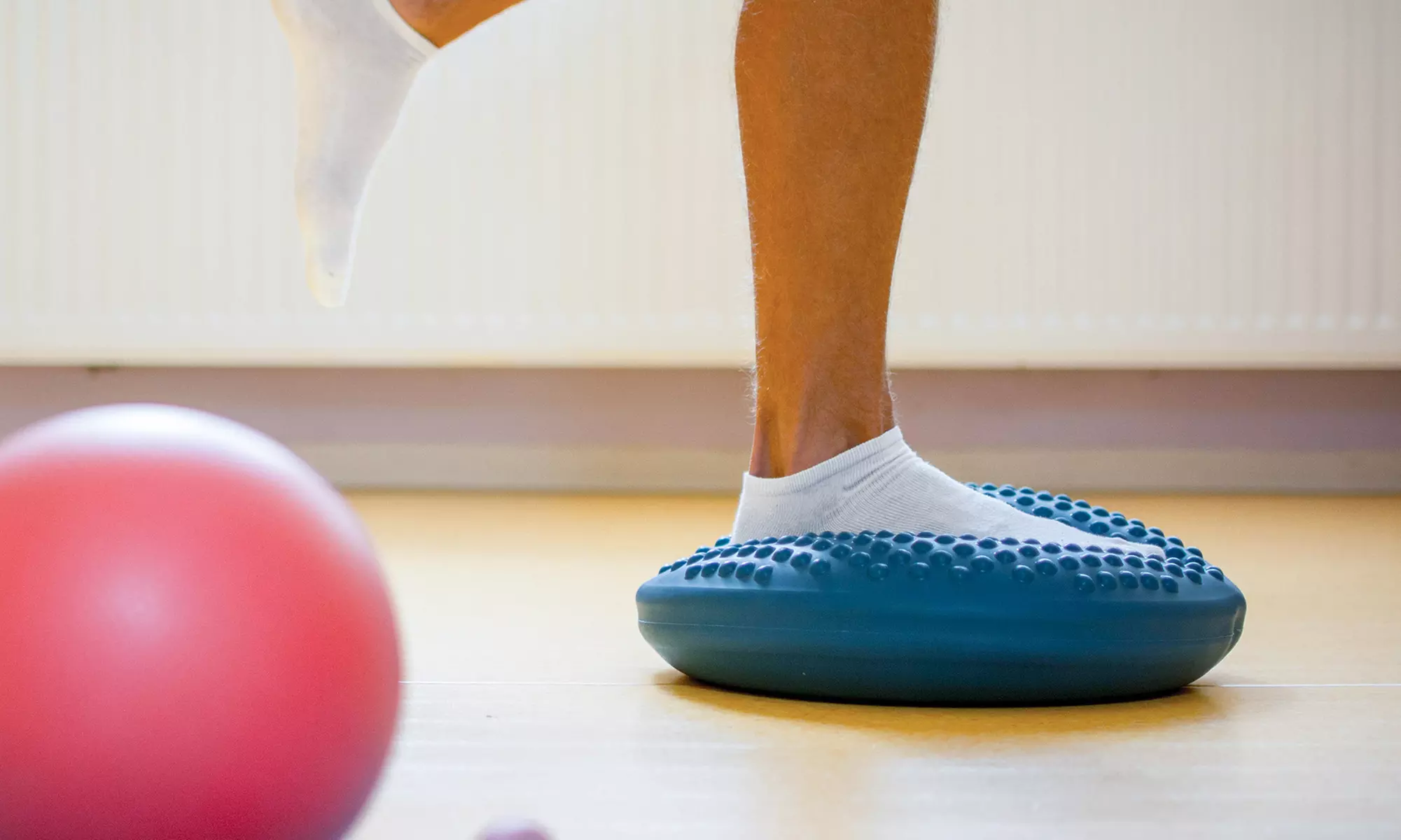 Wobble Balance Disc in Choice of Colour - Primary Image