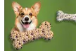 Custom Pet Toys from Justyling – Custom Frisbees or Bones Up To 75% Off - Second Medium