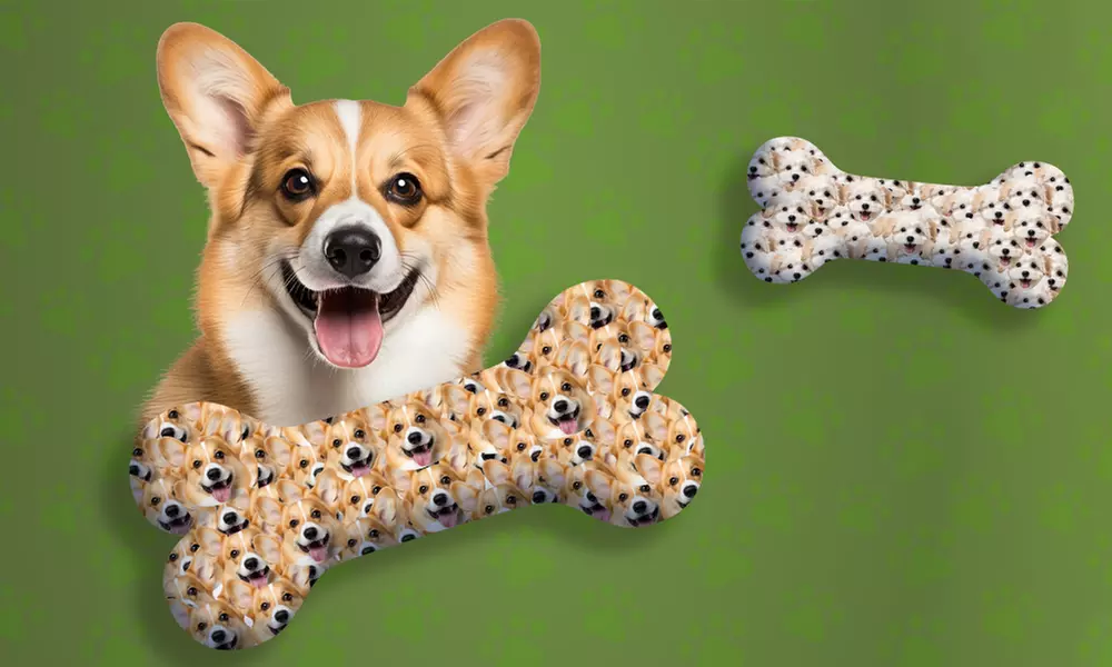 One or Two Custom Pet Toys - Custom Frisbees or Bones Available!
