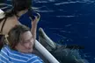 Guaranteed Whale / Dolphin Watching Tour in Hawaii's Kona Coast w/ a 2 Deck Modern Vessel & Professional Naturalists - Second Medium