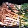 Image 5: Cajas de calçots con salsa romesco